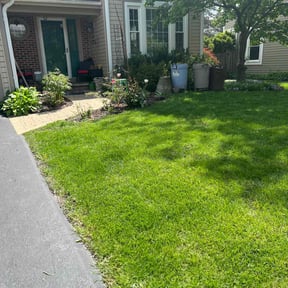 yard work by Down To Earth Landscaping reviewed on August 19, 2025