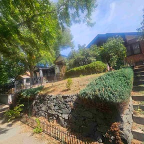 Bush Trimming by Ismael reviewed on November 9, 2025