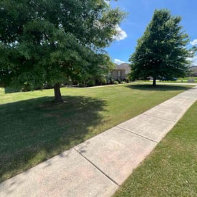 gardening service by Bandala's Landscaping and Gardening Service reviewed on August 18, 2025