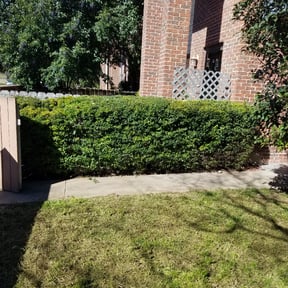 Bush Trimming by FRL Landscaping reviewed on August 17, 2025