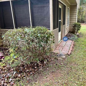 Bush Trimming by Georgia Grounds Management LLC reviewed on November 8, 2025