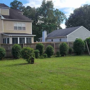 Bush Trimming by Grasshopper Lawn Care reviewed on August 18, 2025