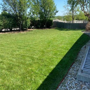 Flower Bed Weeding by Black horse reviewed on August 8, 2025