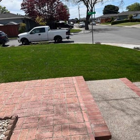 lawn care by Chavez Garden reviewed on September 19, 2024