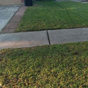 lawn maintenance by We like grass reviewed on October 11, 2019