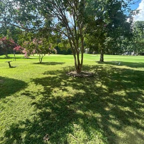 residential landscaping by Marisol lawn care reviewed on August 18, 2025