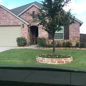 Bush Trimming by Jerry lawn care service reviewed on August 18, 2025