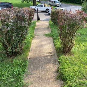 Bush Trimming by Barron lawn & maintenance reviewed on August 18, 2025