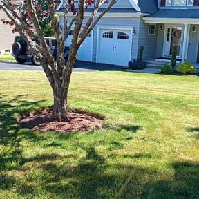 yard work by Precision Landscaping reviewed on August 18, 2025