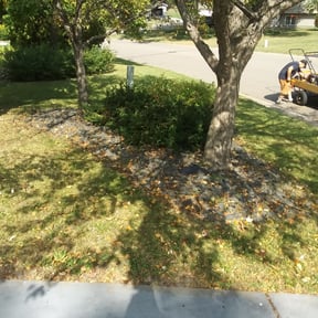 Bush Trimming by Da Boyz Yard Service reviewed on August 21, 2025