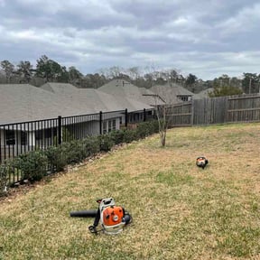 Bush Trimming by Right off the top reviewed on February 18, 2026