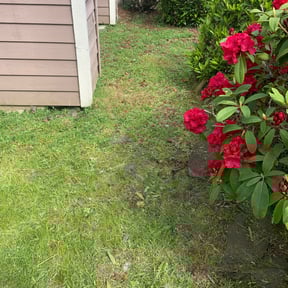 Flower Bed Weeding by Keep it Neat reviewed on August 17, 2025