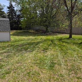 Leaf Removal by Tjs lawn care and escapes reviewed on June 3, 2026