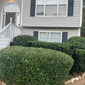 Bush Trimming by Family Gang Lawn reviewed on December 25, 2025