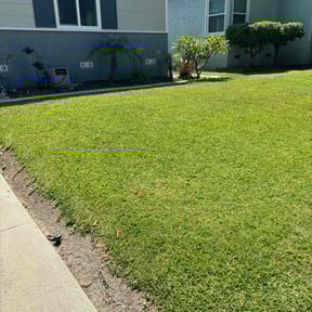 gardening service by The Landscape Watch reviewed on August 21, 2025