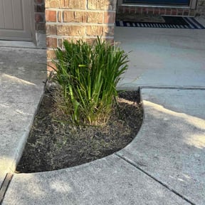 Bush Trimming by Russum Grounds Service, LLC reviewed on August 18, 2025