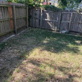 Bush Trimming by BBMP reviewed on October 23, 2025