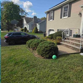 Bush Trimming by M&amp;M Lawn Service reviewed on October 22, 2025