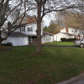 Leaf Removal by Juan Mejía reviewed on September 24, 2025