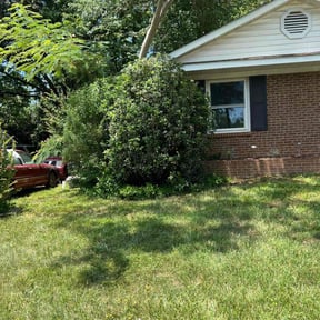Bush Trimming by Mr. Jims' Lawn Care L.L.C reviewed on August 17, 2025