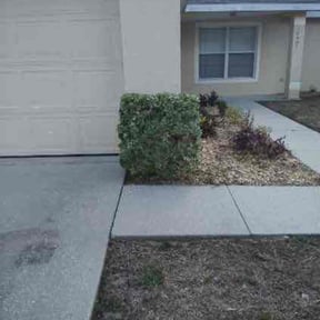 Bush Trimming by Fairwood Landscape reviewed on August 17, 2025