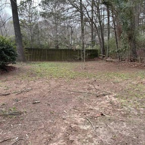 Leaf Removal by Ayala Lawn Services LLC reviewed on March 13, 2026