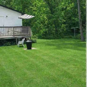 Leaf Removal by Ivy Lawn Care LLC reviewed on April 18, 2026