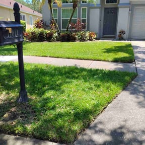 yard work by Rosedale Lawn reviewed on August 21, 2025