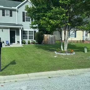 residential landscaping by Tazzmania’s Lawn Services reviewed on August 17, 2025