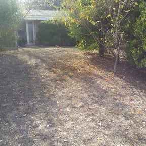 Leaf Removal by Clean Cut Land Management reviewed on September 24, 2025