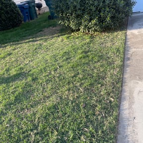 Bush Trimming by reviewed on August 19, 2025