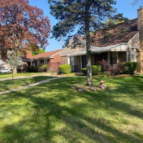 Bush Trimming by Rc lawn care Service reviewed on August 15, 2025