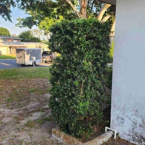 Bush Trimming by VonBerge Family Lawncare reviewed on August 21, 2025