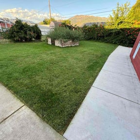grass maintenance by Noah Person (redhotlawnservice) reviewed on June 18, 2025