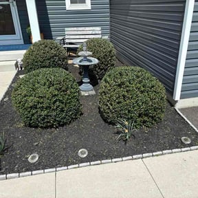 Bush Trimming by SaVaGe Weedlins reviewed on April 18, 2026