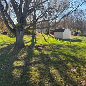 Leaf Removal by Jason’s Lawn Care reviewed on December 24, 2025