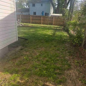 Leaf Removal by No Mow Worries!!! reviewed on May 31, 2026