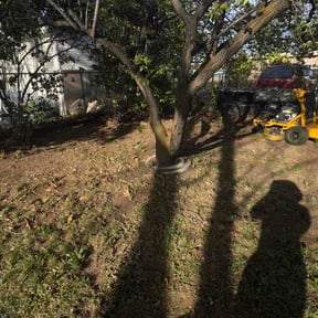 Leaf Removal by MC Landscape Maintenance LLC reviewed on April 5, 2026