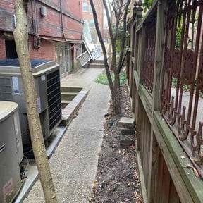 Leaf Removal by 281 Handyman &amp; Lawn Care reviewed on April 10, 2026