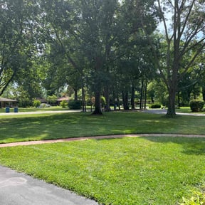 yard service by Bonafide Hauling reviewed on August 17, 2025
