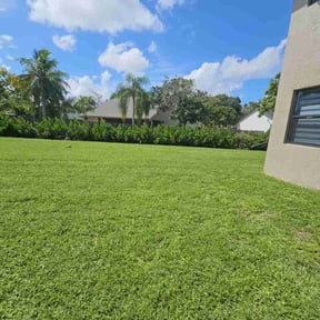 yard service by Soto landscape reviewed on January 20, 2026