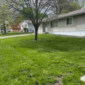 yard care by Cutting edge lawn service reviewed on August 19, 2025