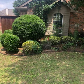 Bush Trimming by C&E lawn care reviewed on August 17, 2025