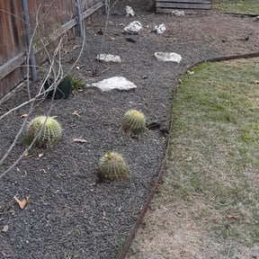 Flower Bed Weeding by Cut n up lawn care services reviewed on August 18, 2025