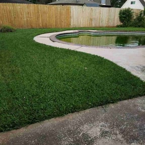 lawn care services by Sunnyside Lawn care reviewed on February 5, 2024