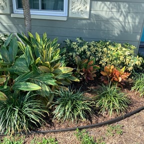 Bush Trimming by Zeroslandscape reviewed on August 17, 2025