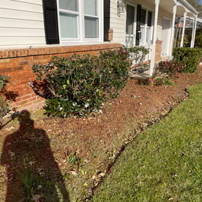 Bush Trimming by Gator Cutz Lawn Care, LLC reviewed on August 19, 2025