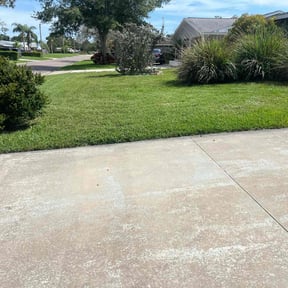 lawn care by Personal Touch reviewed on July 28, 2025