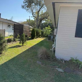 Leaf Removal by Pro Cut’s Landscaping reviewed on August 20, 2026