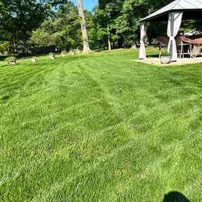 gardening service by Abdu Lawn & Landscape reviewed on August 17, 2025